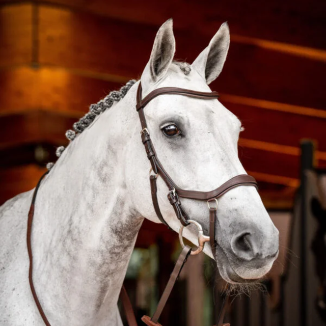 English Bridle | Rural Avenue