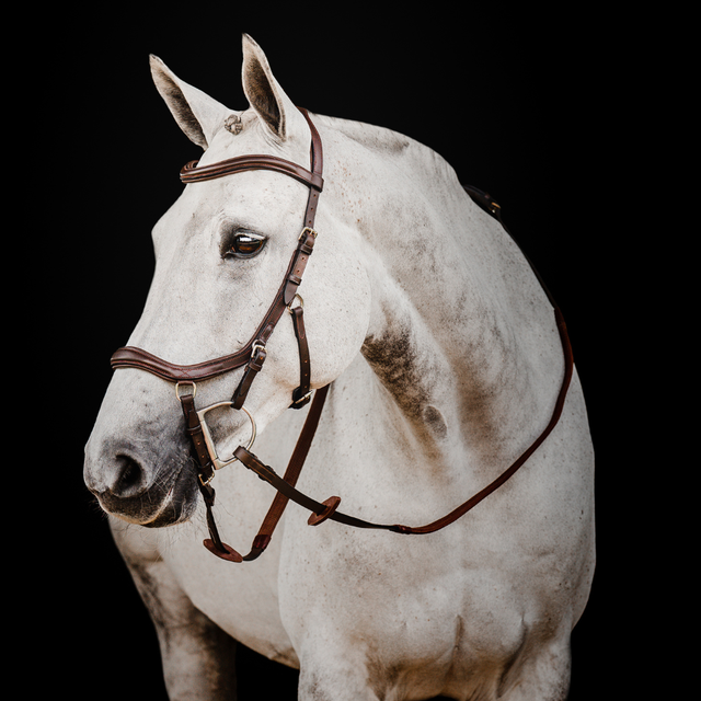 English Bridle | Rural Avenue