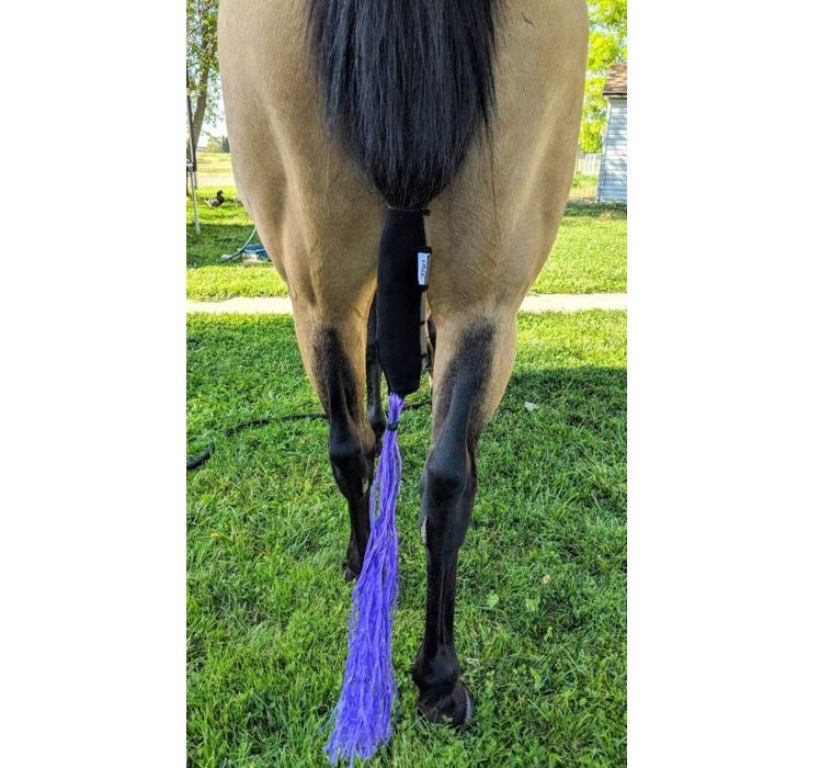 Horse tail boot shop